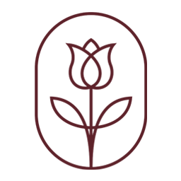 MMPV Icon - transparent